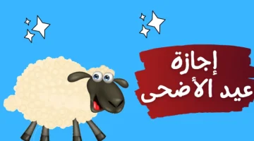 يا فرحة ما تمت.. تخفيض عدد أيام اجازة عيد الاضحى 2023  و30 يونيو رسمياً لهذه الفئات