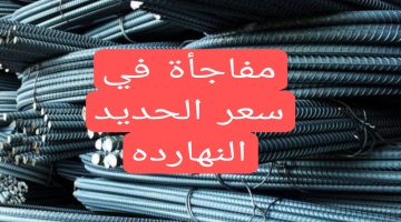 الحديد يفاجئ الشعب المصري.. مفاجأة غير متوقعة في سعر الحديد اليوم الأربعاء 28 فبراير