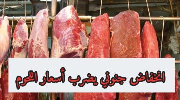 “جهزي نفسك يا ست الكل”.. عاجل انخفاض جنوني يضرب أسعار اللحوم في هذا الموعد .. بمناسبة دخول شهر رمضان المبارك