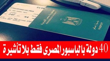 خبر بمليون جنيه.. الباسبور المصري الجديد بدون تأشيرة .. وهذه الدول التي يمكن السفر إليها بدون تأشيرة