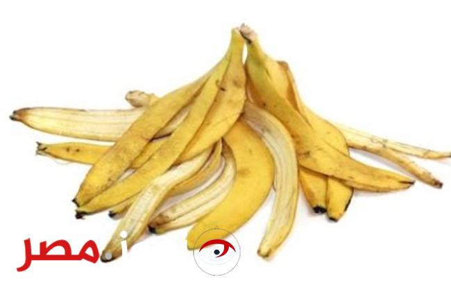 «قشور الموز كنز حقيقي» تعرف على فوائد قشور الموز واستخدامتها... ازاي عايش كل دا ومتعرفش..!!