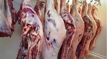 بشاير شهر الخير.. مفاجأة غير متوقعة في أسعار اللحوم في الأسواق مع ضخ كميات جديدة