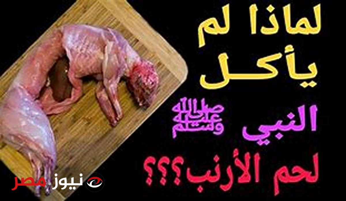 "مفاجأة أدهشت الجميع" هل تعرف سبب عدم أكل سيدنا محمد لحم الأرنب و لحم الضب .. تابع لتعرف المزيد