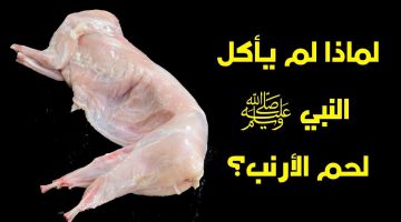 حقيقة أدهشت الملايين .. لماذا نبينا محمد عليه الصلاة والسلام لا يأكل لحم الأرنب ؟؟ وأيضًا لا يأكل لحم الضب ؟؟ ا