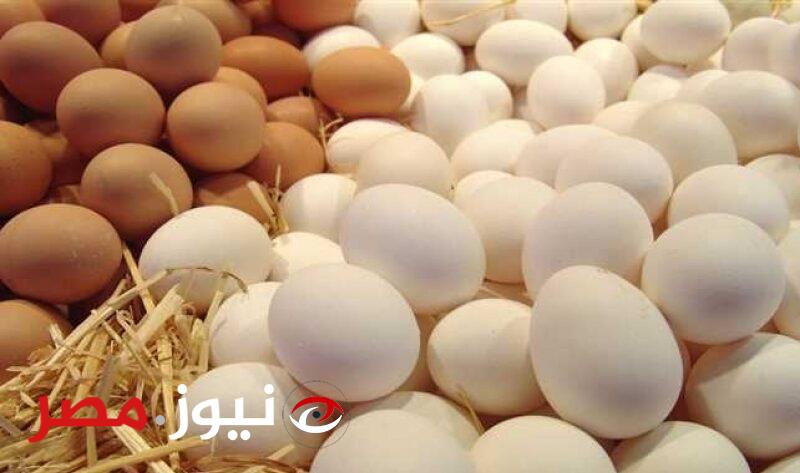 أسعار الدواجن وكراتين البيض اليوم الجمعة 29 مارس في الأسواق