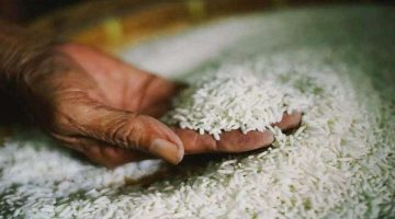 ارتفاع كبير في أسعار الأرز في الأسواق اليوم الخميس