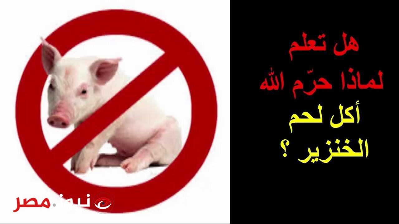 «السبب مدهش جداً ».. اعرف الان سبب خلق الله الخنزير و تحريم أكله في الإسلام... إليكم أهم التفاصيل!!